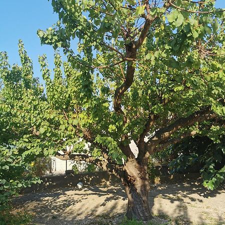 Villa Dans Le Sud Lunel  Eksteriør billede